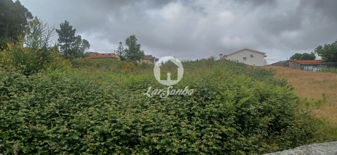 Terreno Agricola ou Rústico para Venda em Carvalhosa Foto 1