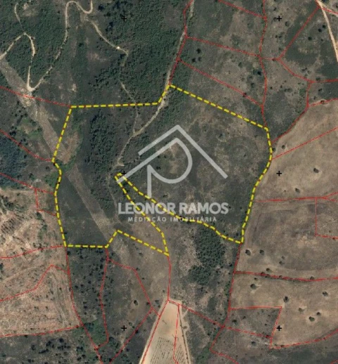 Terreno para Venda em Sarzedas