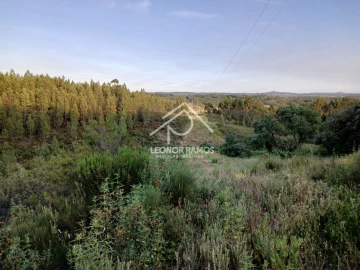 Terreno para Venda em Sarzedas