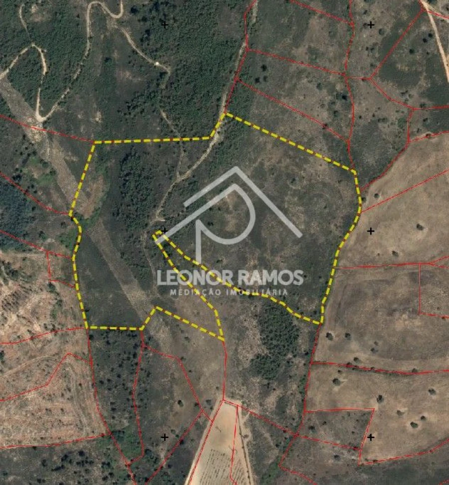 Terreno para Venda em Sarzedas Foto 7