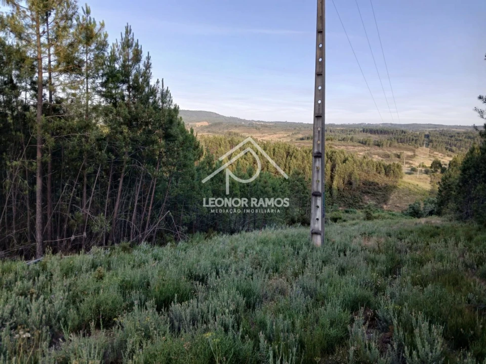 Terreno para Venda em Sarzedas Foto 4