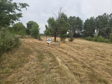 Terreno para Venda em Póvoa de Rio de Moinhos e Cafede