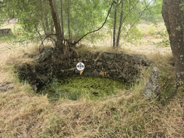 Terreno para Venda em Póvoa de Rio de Moinhos e Cafede