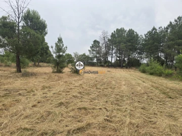 Terreno para Venda em Póvoa de Rio de Moinhos e Cafede