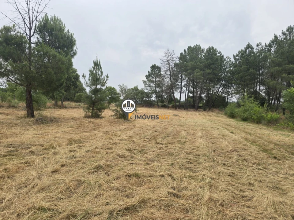 Terreno para Venda em Póvoa de Rio de Moinhos e Cafede Foto 3