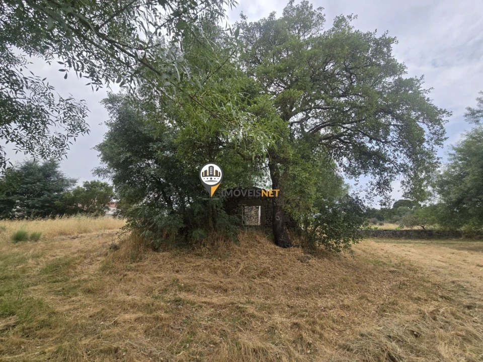 Terreno para Venda em Póvoa de Rio de Moinhos e Cafede Foto 10