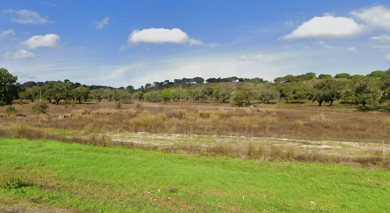 Terreno para Venda em Azinheira dos Barros e São Mamede do Sádão Foto 5