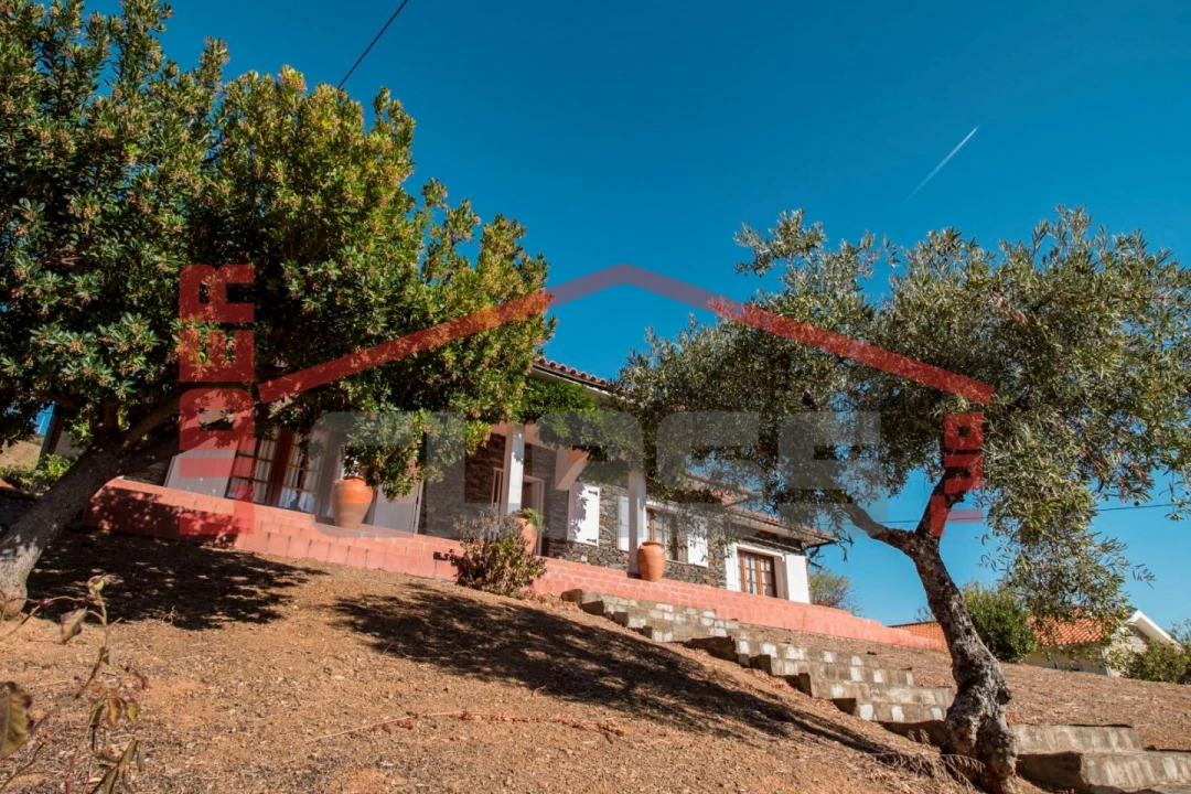 Quinta T4 para Venda em Meirinhos Foto 10