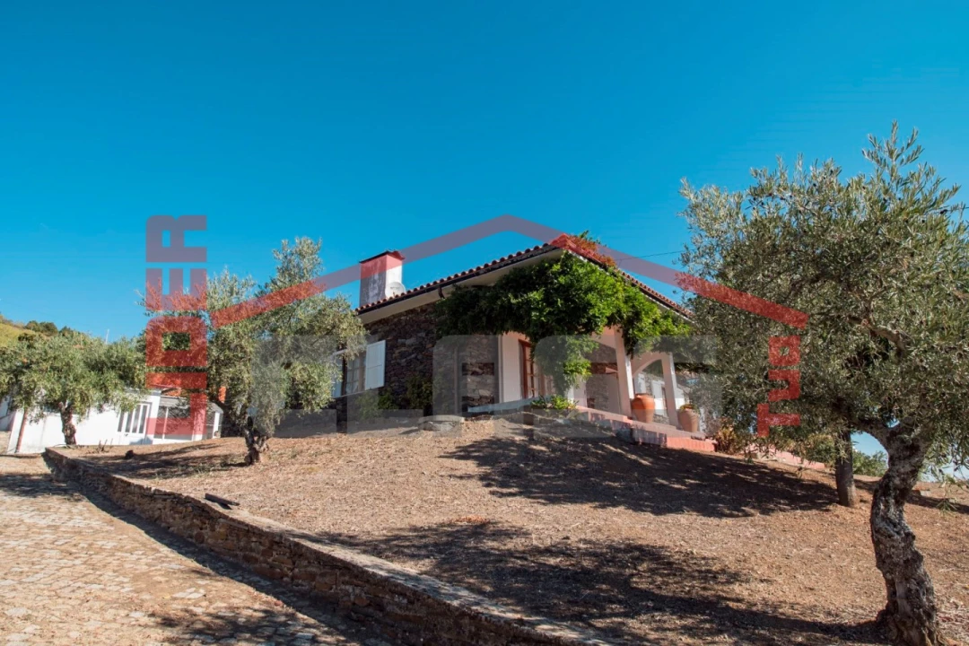 Quinta T4 para Venda em Meirinhos Foto 20