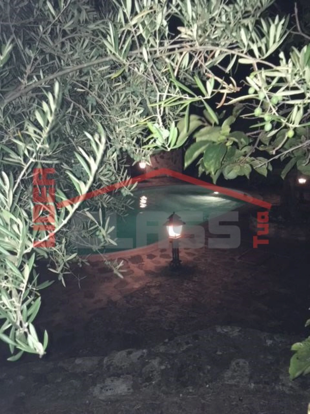 Quinta T4 para Venda em Meirinhos Foto 28