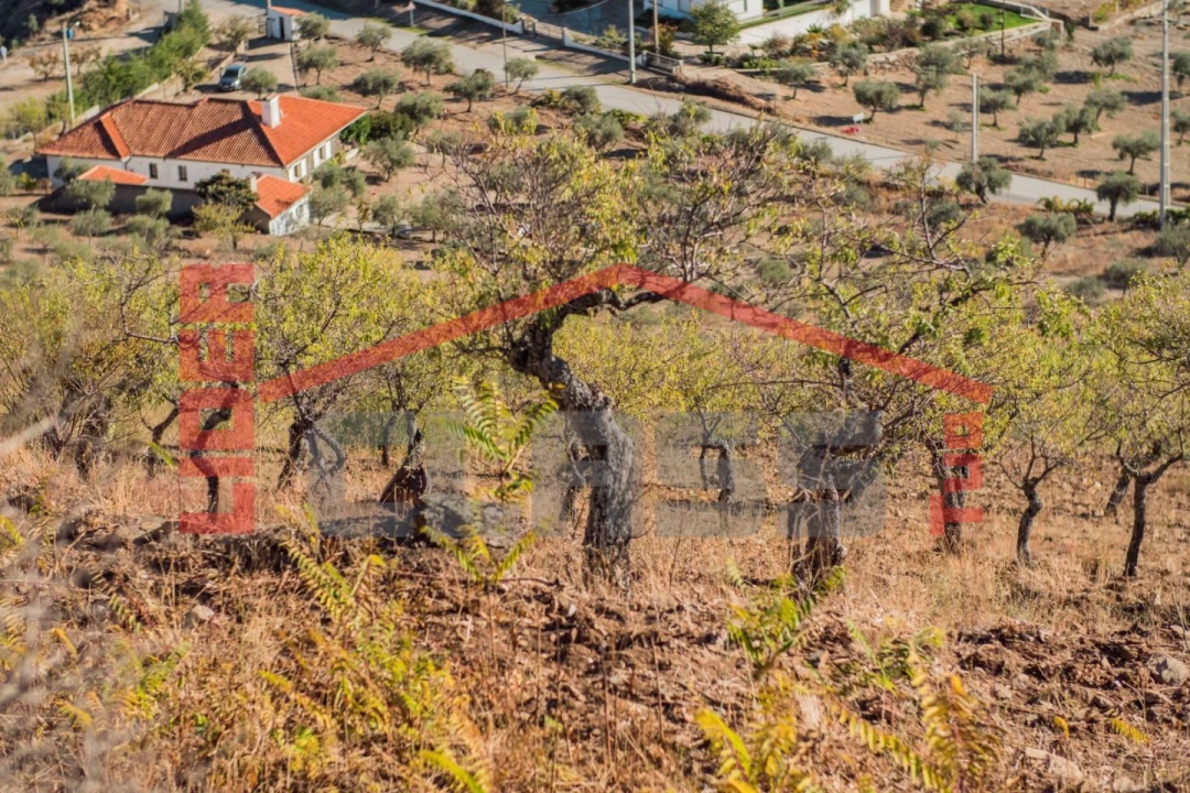 Quinta T4 para Venda em Meirinhos Foto 30