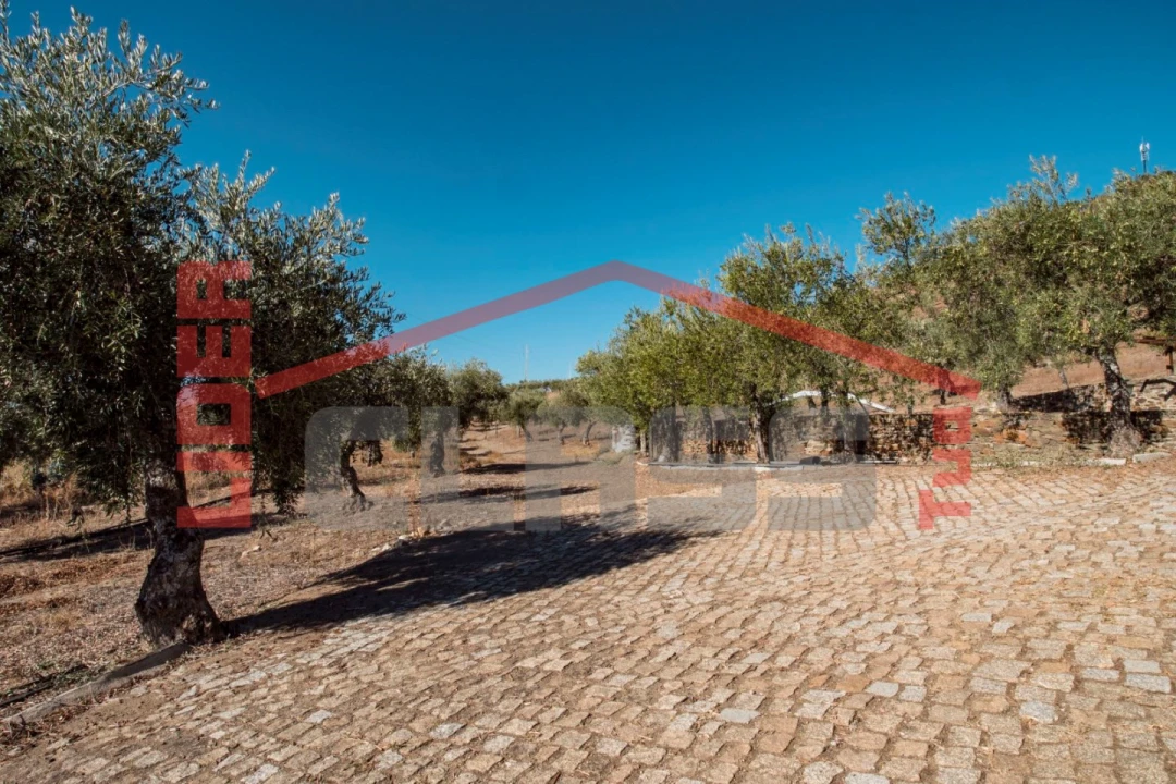 Quinta T4 para Venda em Meirinhos Foto 42