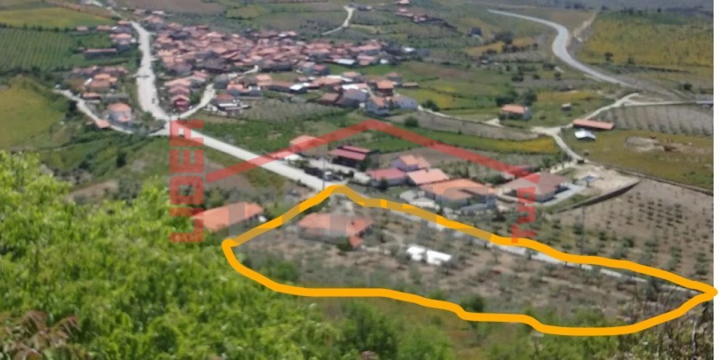 Quinta T4 para Venda em Meirinhos Foto 48