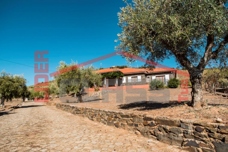 Quinta T4 para Venda em Meirinhos Foto 21