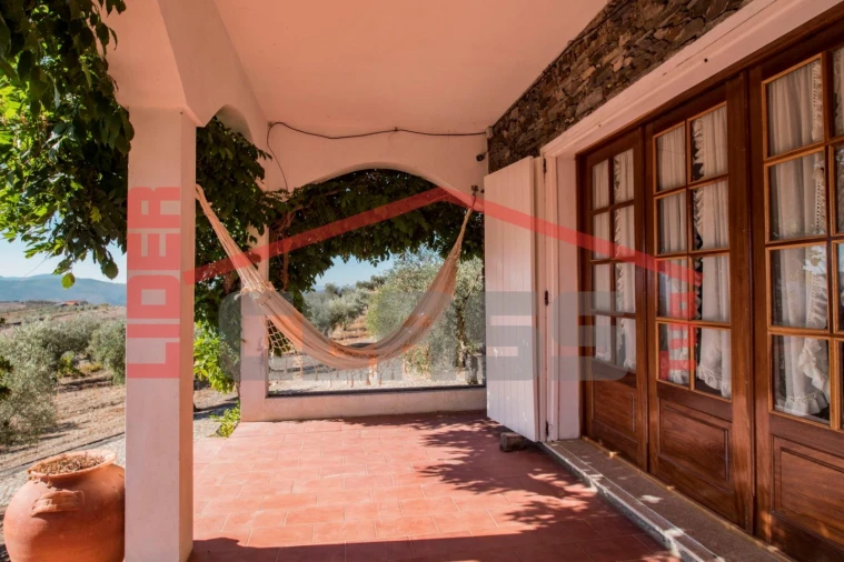 Quinta T4 para Venda em Meirinhos Foto 17