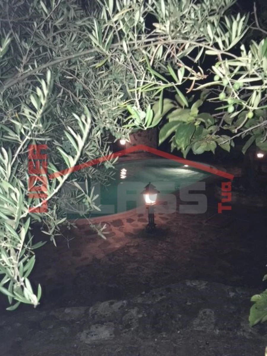 Quinta T4 para Venda em Meirinhos Foto 28