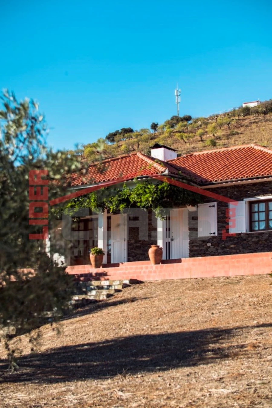 Quinta T4 para Venda em Meirinhos Foto 19