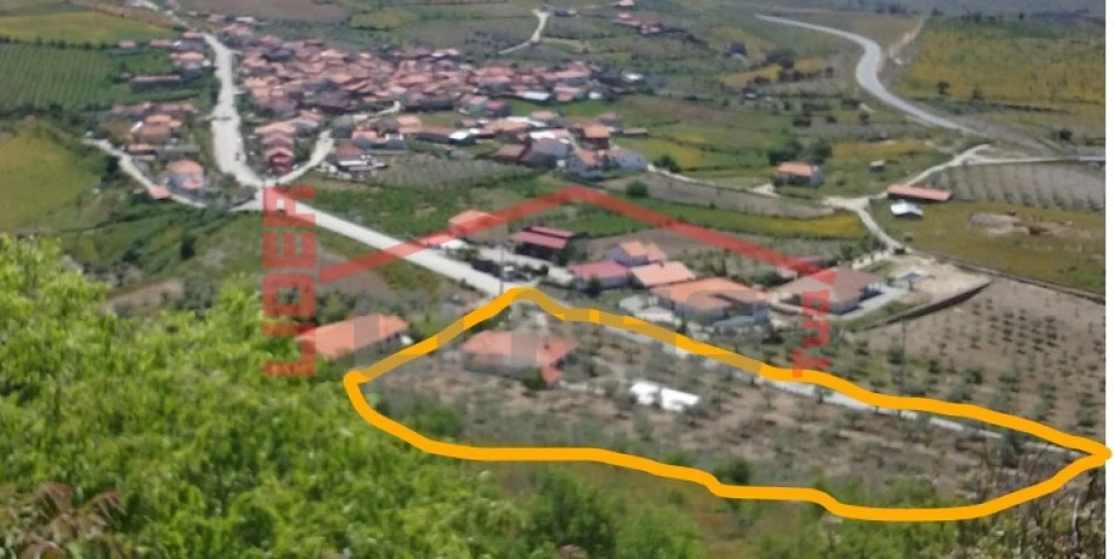 Quinta T4 para Venda em Meirinhos Foto 48