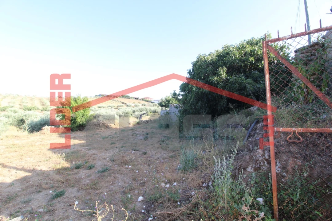 Moradia T2 para Venda em Suçães Foto 16