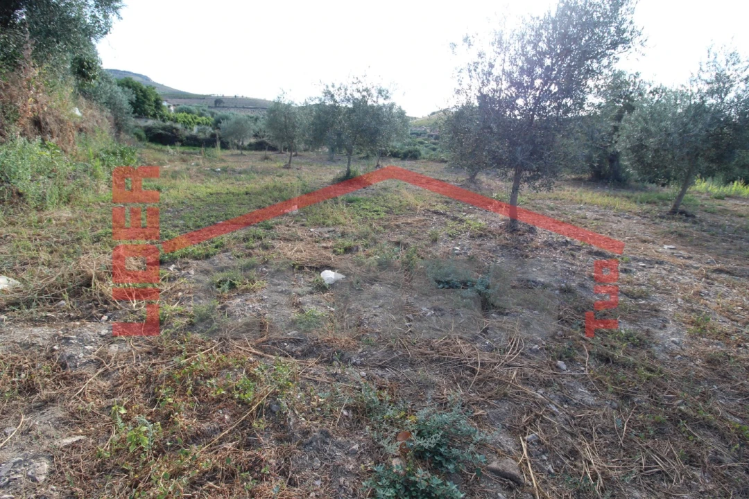 Moradia T2 para Venda em Suçães Foto 22