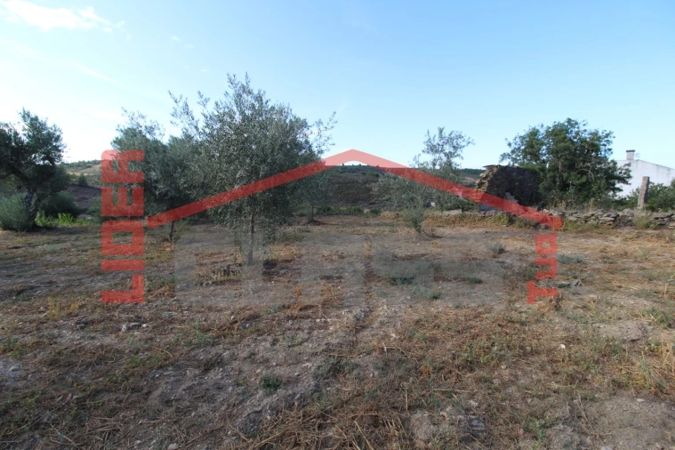 Moradia T2 para Venda em Suçães Foto 21