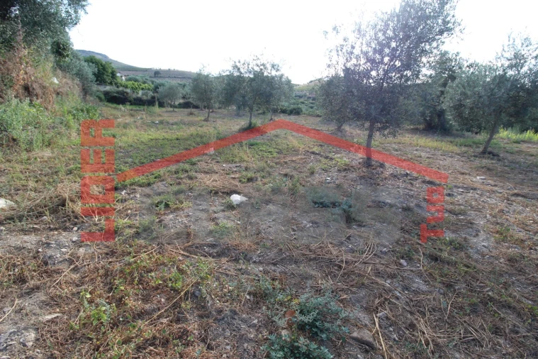 Moradia T2 para Venda em Suçães Foto 22