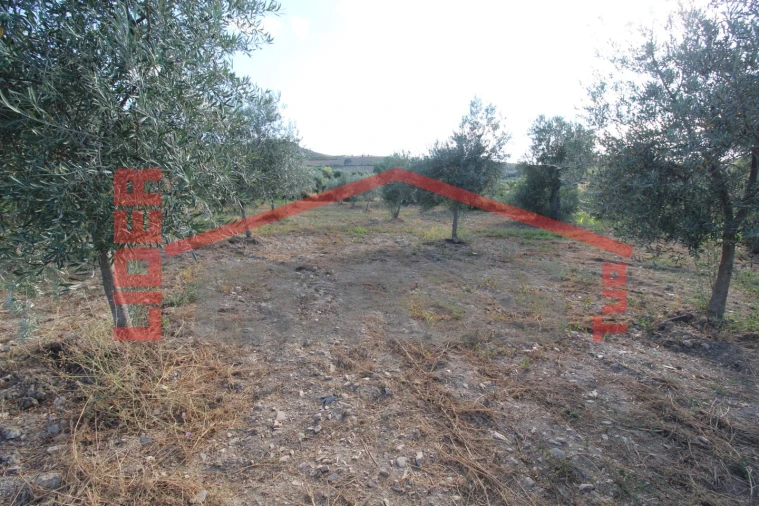 Moradia T2 para Venda em Suçães Foto 23