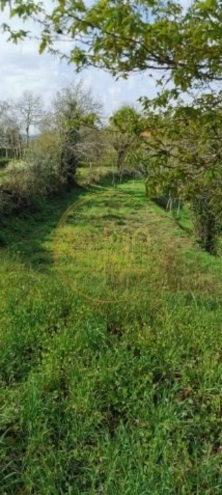 Moradia T3 para Venda em Santa Cruz do Lima Foto 3