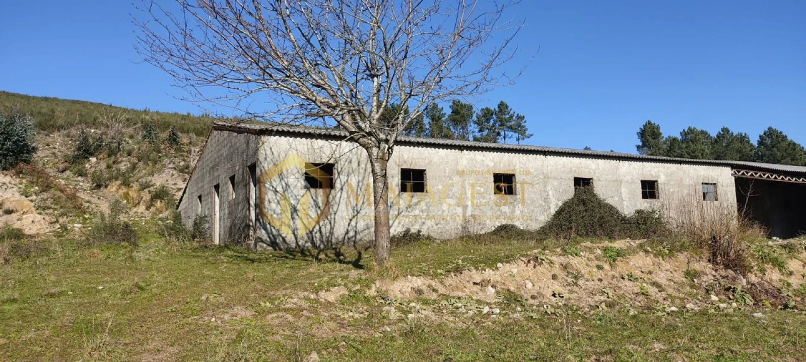 Quinta T5 para Venda em Gestaço Foto 2