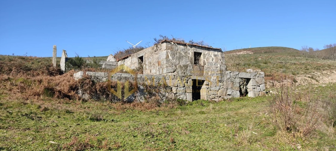 Quinta T5 para Venda em Gestaço Foto 19