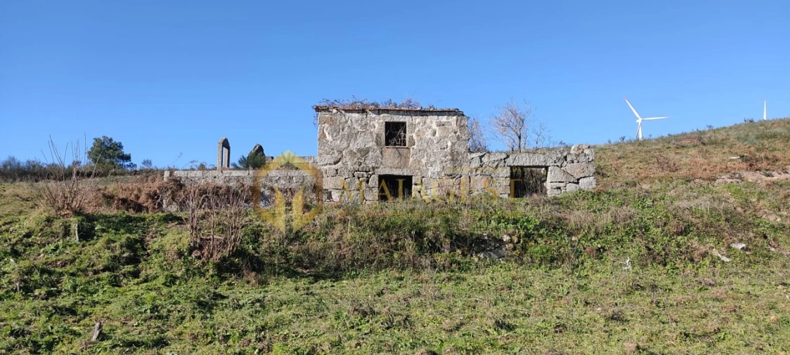 Quinta T5 para Venda em Gestaço Foto 20