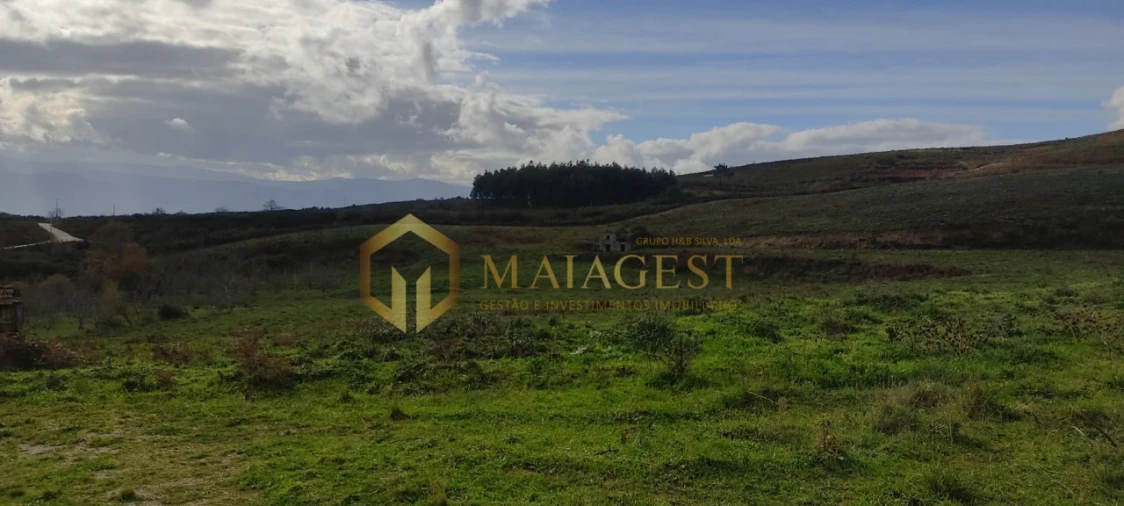 Quinta T5 para Venda em Gestaço Foto 21