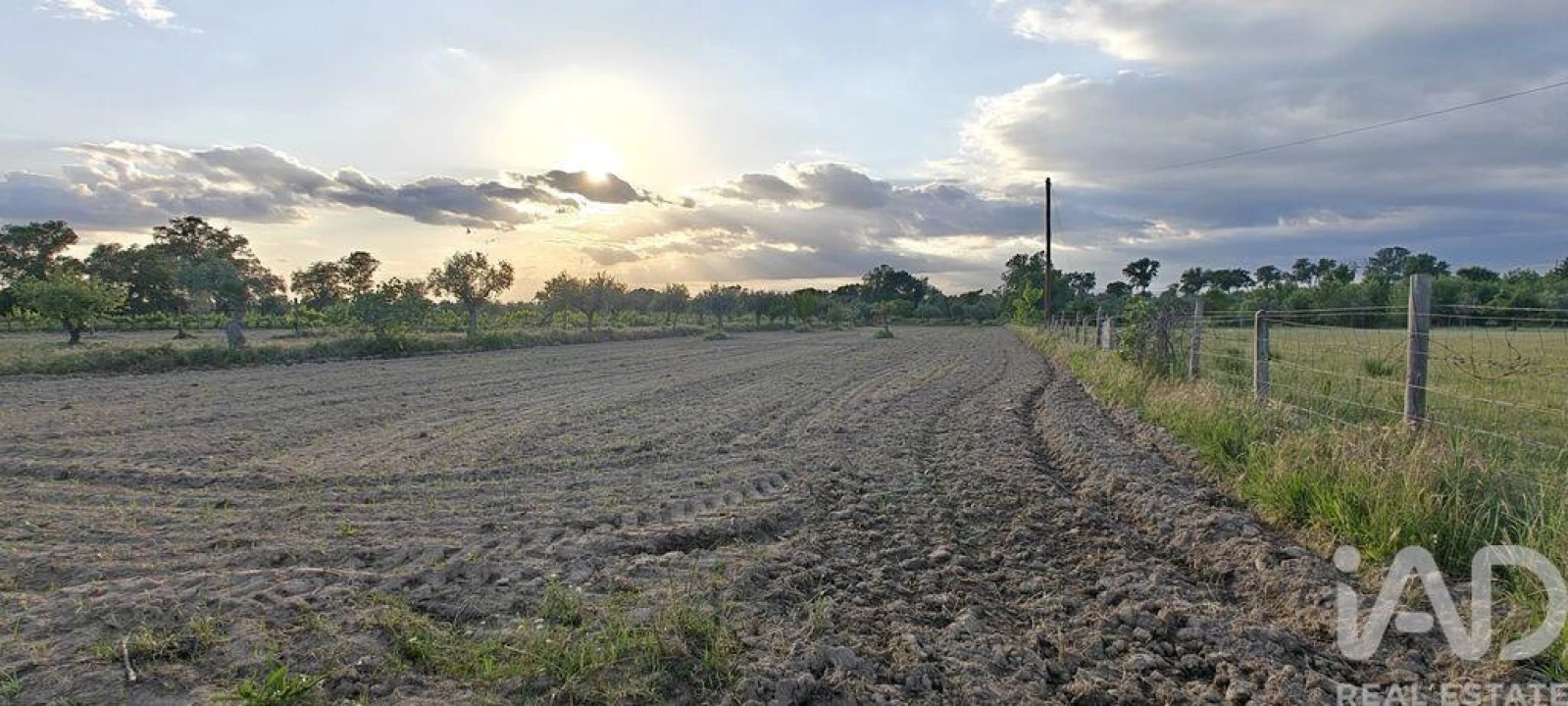 Prédio para Venda em Ladoeiro Foto 16