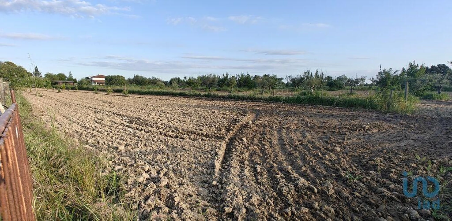 Prédio para Venda em Ladoeiro Foto 14