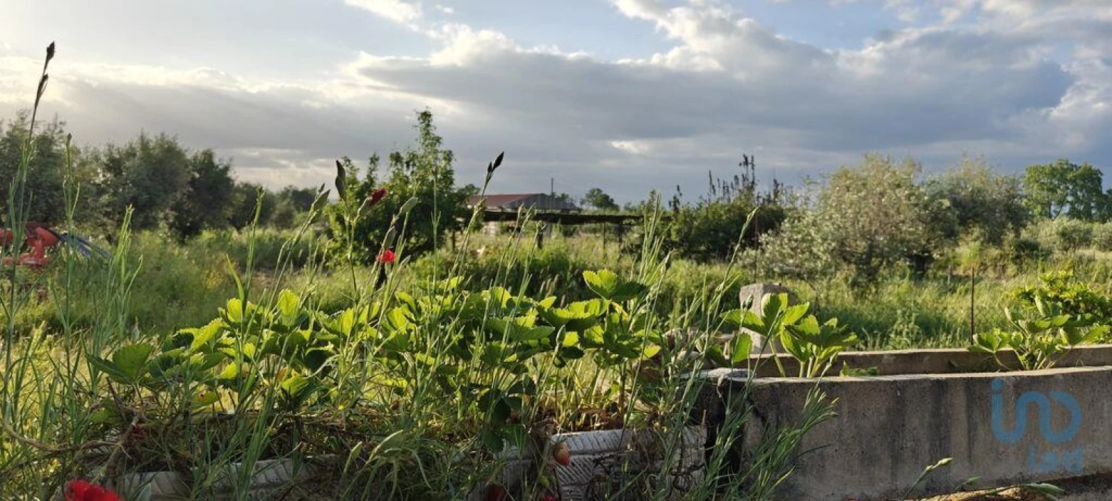 Prédio para Venda em Ladoeiro Foto 3