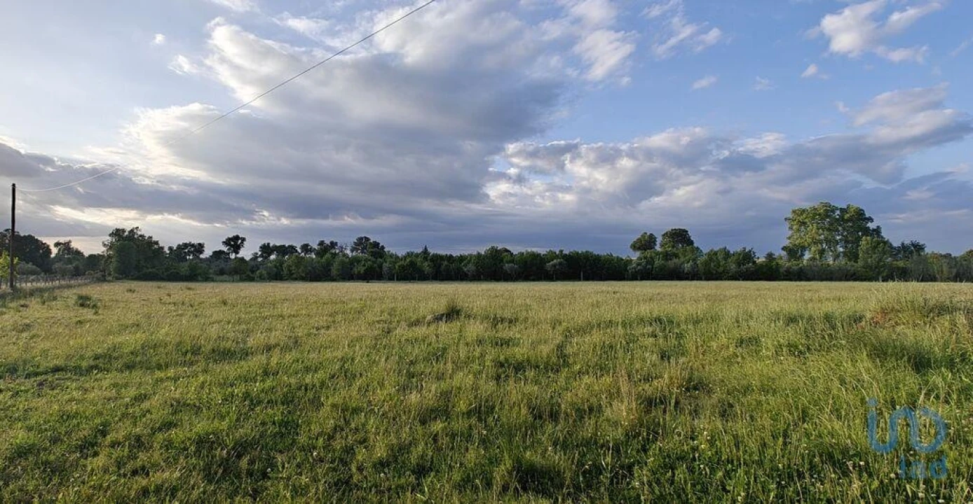 Prédio para Venda em Ladoeiro Foto 10
