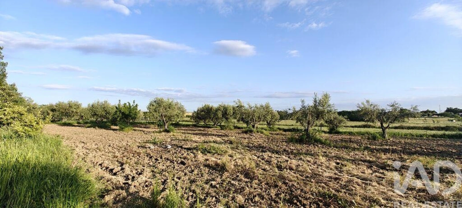 Prédio para Venda em Ladoeiro Foto 17