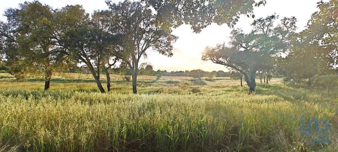 Prédio para Venda em Ladoeiro Foto 8