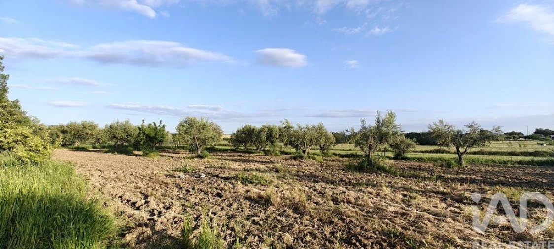 Prédio para Venda em Ladoeiro Foto 17