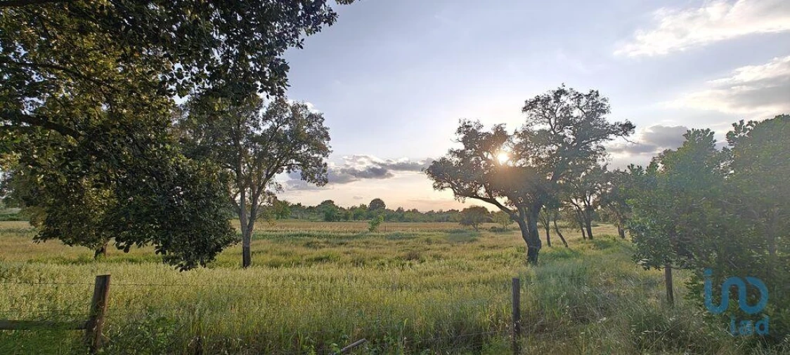 Prédio para Venda em Ladoeiro Foto 9