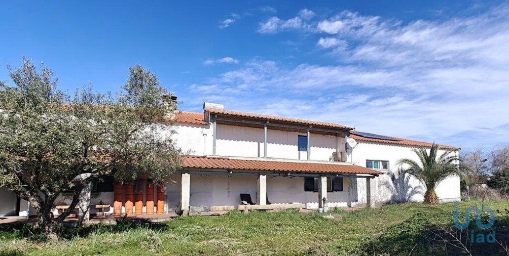 Prédio para Venda em Ladoeiro Foto 4