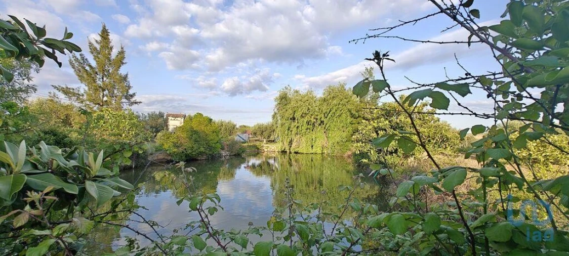 Prédio para Venda em Ladoeiro Foto 12