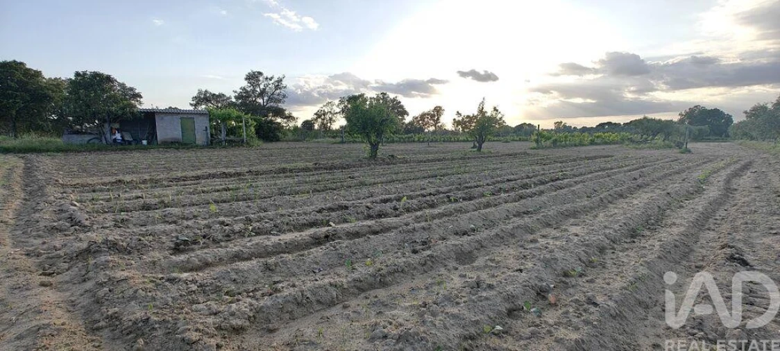 Prédio para Venda em Ladoeiro Foto 15