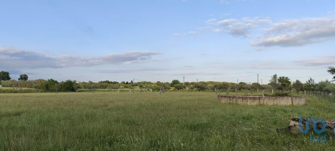 Prédio para Venda em Ladoeiro Foto 13