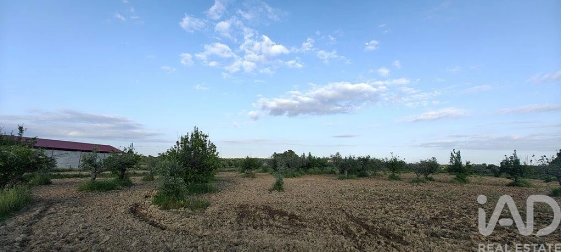 Prédio para Venda em Ladoeiro Foto 18