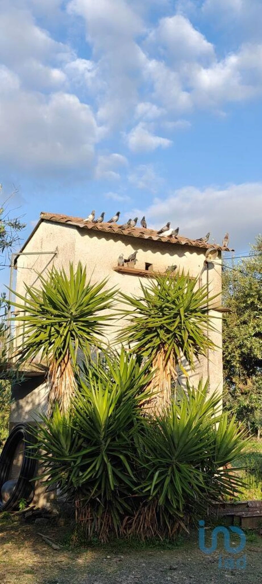 Prédio para Venda em Ladoeiro Foto 6