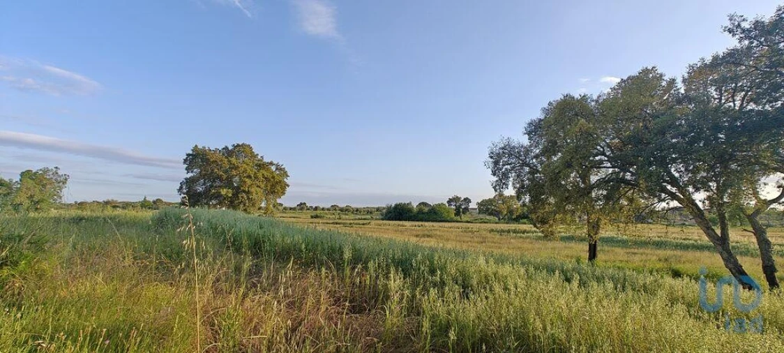 Prédio para Venda em Ladoeiro Foto 7