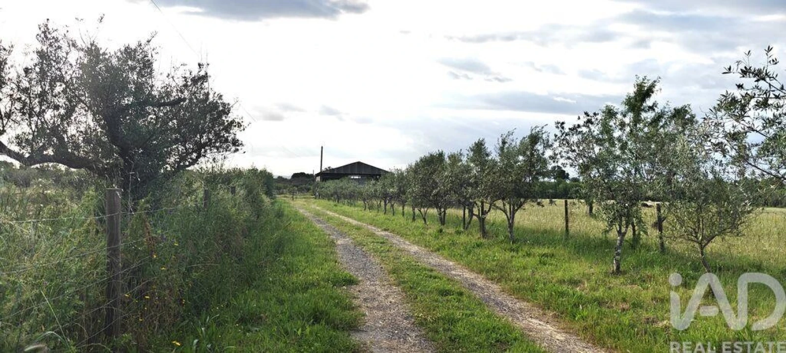 Prédio para Venda em Ladoeiro Foto 26