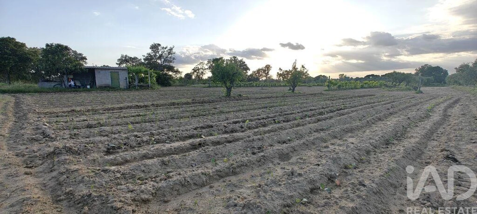 Prédio para Venda em Ladoeiro Foto 15