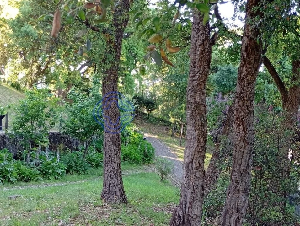 Apartamento T3 para Venda em Santa Marinha e São Pedro da Afurada Foto 21